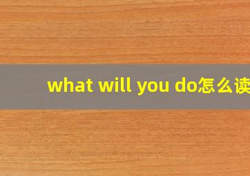 what will you do怎么读